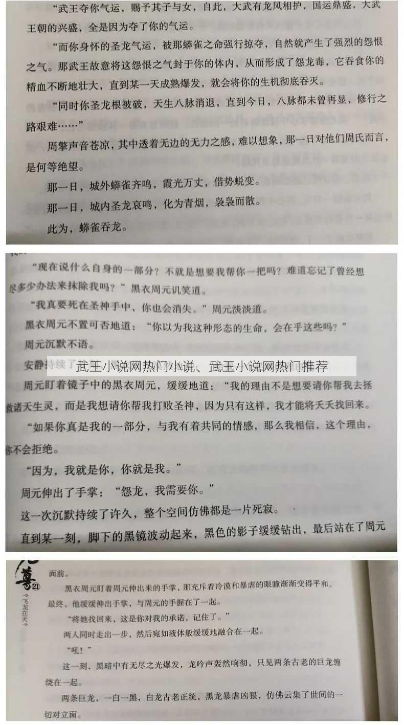 武王小说网热门小说、武王小说网热门推荐