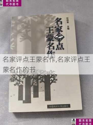 名家评点王蒙名作,名家评点王蒙名作的书