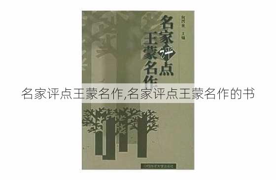 名家评点王蒙名作,名家评点王蒙名作的书