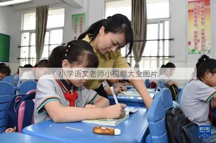 小学语文老师小视频大全图片