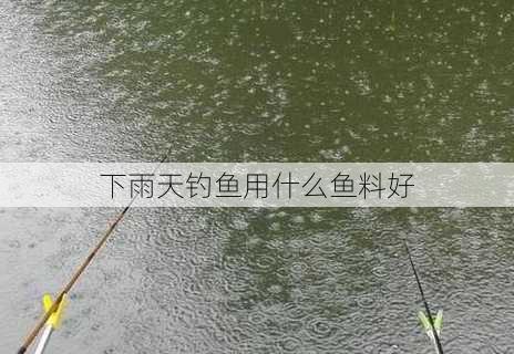 下雨天钓鱼用什么鱼料好