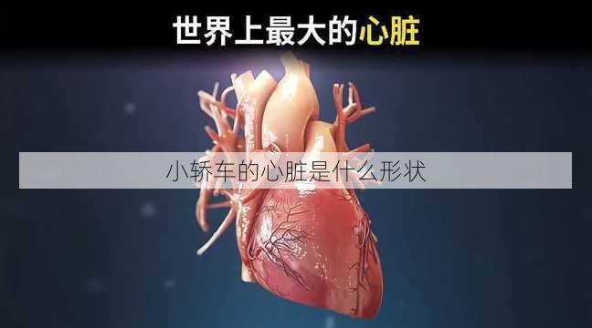 小轿车的心脏是什么形状