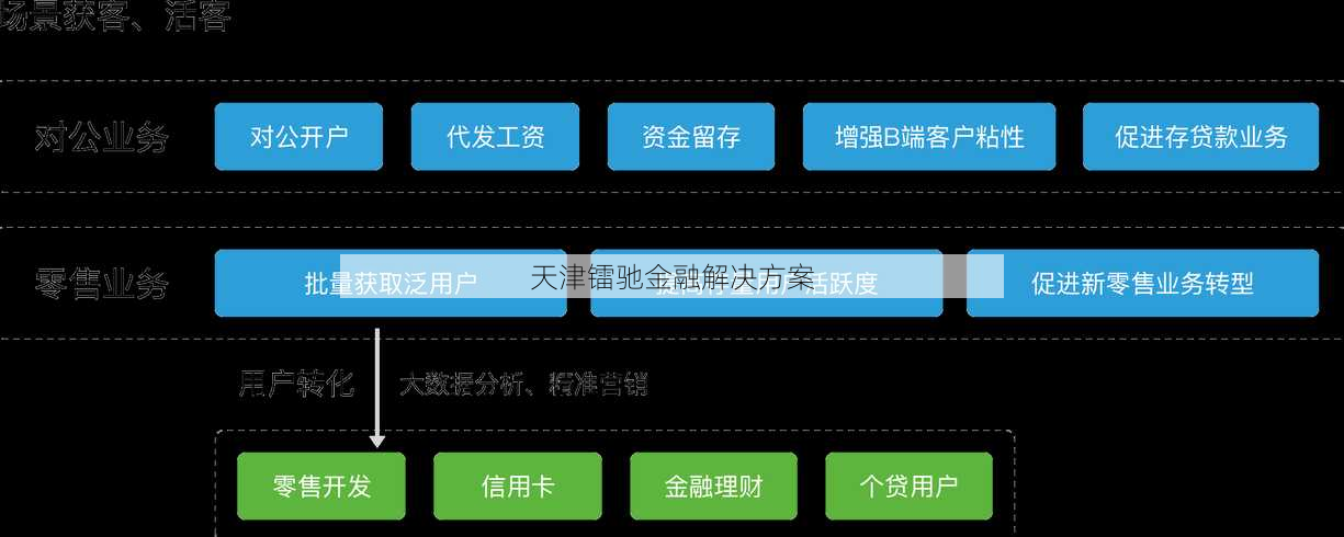 天津镭驰金融解决方案