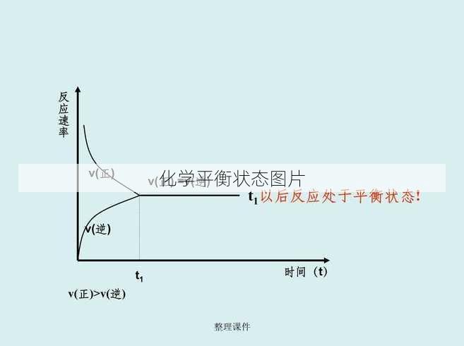 化学平衡状态图片