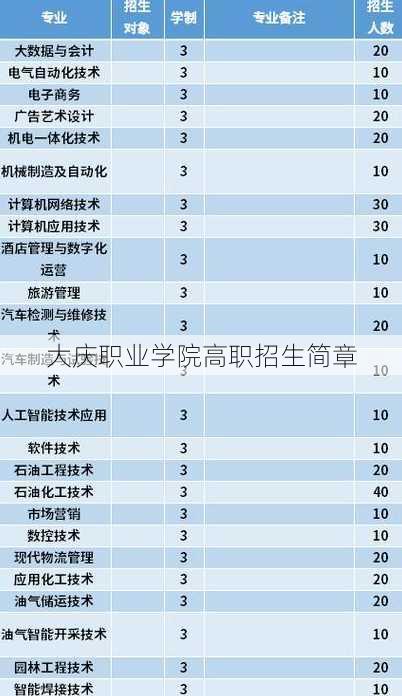 大庆职业学院高职招生简章