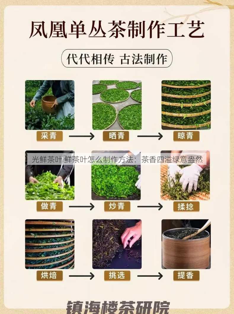 光鲜茶叶 鲜茶叶怎么制作方法：茶香四溢绿意盎然