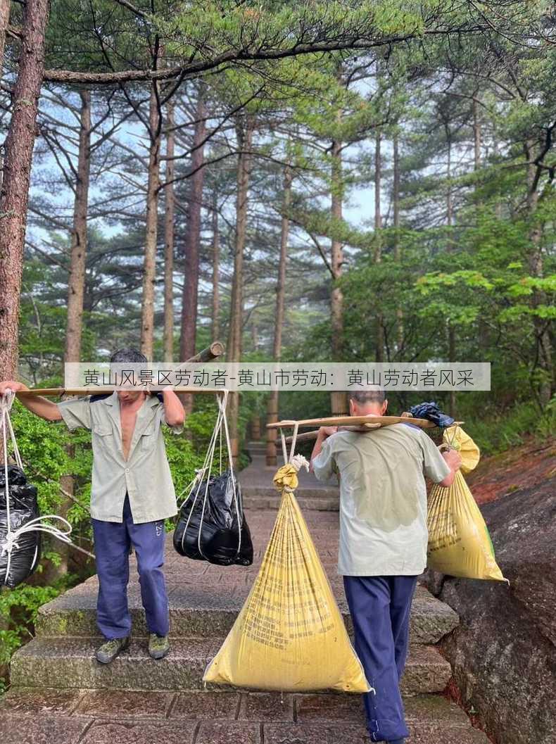 黄山风景区劳动者-黄山市劳动：黄山劳动者风采