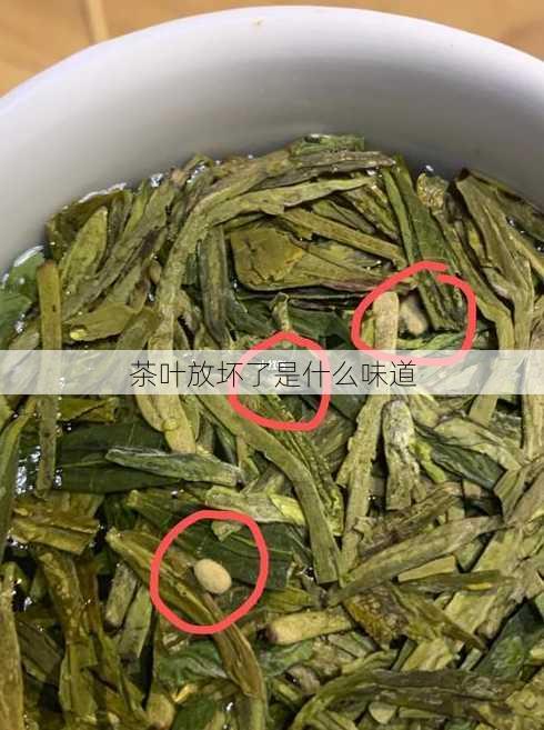 茶叶放坏了是什么味道