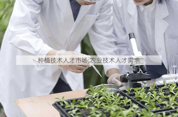 种植技术人才市场;农业技术人才需求