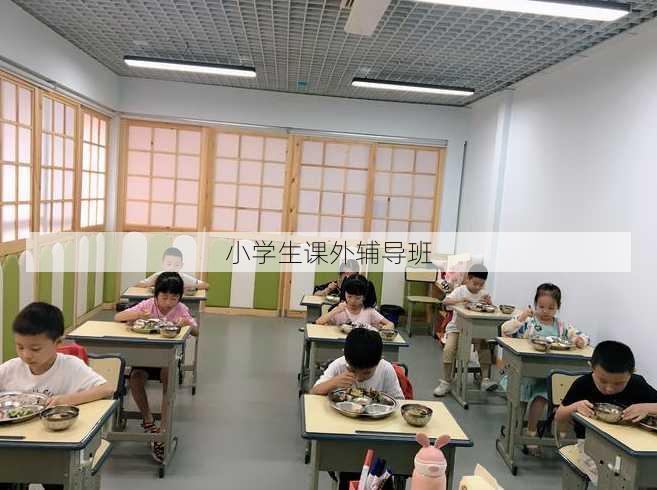 小学生课外辅导班