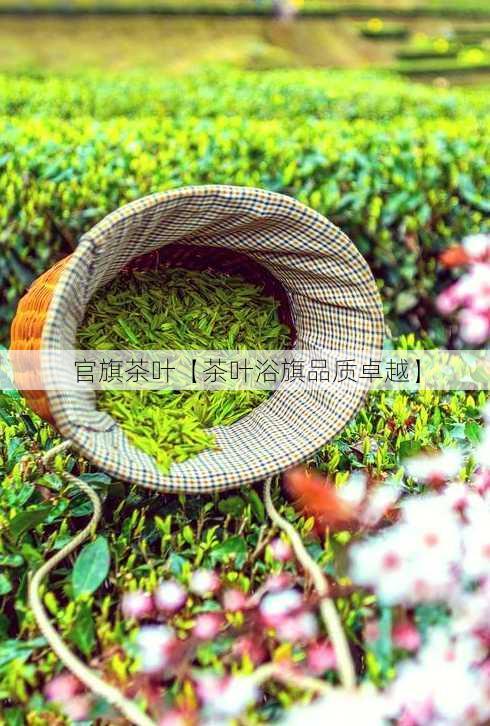 官旗茶叶【茶叶浴旗品质卓越】