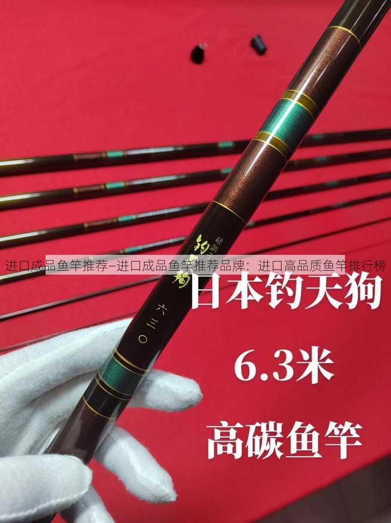 进口成品鱼竿推荐—进口成品鱼竿推荐品牌：进口高品质鱼竿排行榜