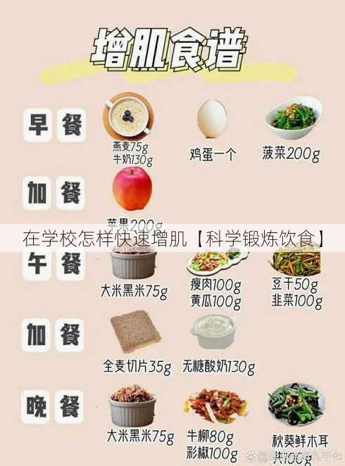 在学校怎样快速增肌【科学锻炼饮食】