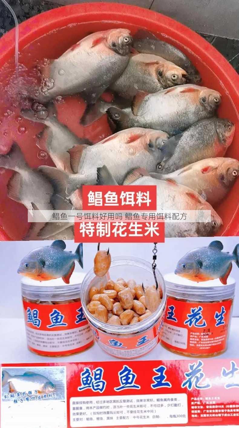 鲳鱼一号饵料好用吗 鲳鱼专用饵料配方