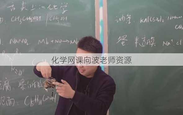 化学网课向波老师资源