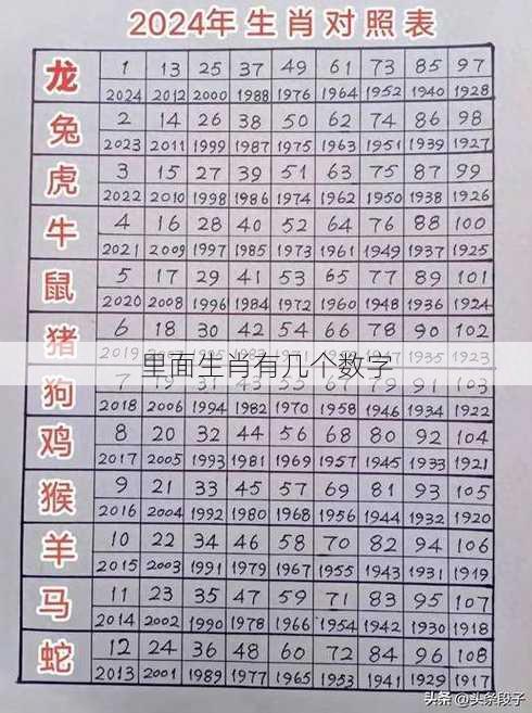 里面生肖有几个数字