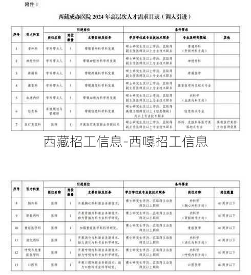 西藏招工信息-西嘎招工信息