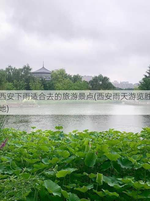 西安下雨适合去的旅游景点(西安雨天游览胜地)