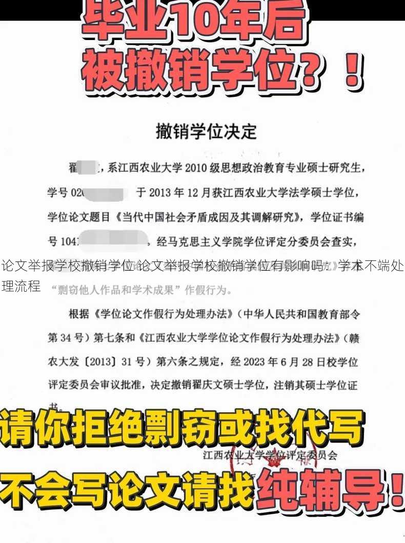 论文举报学校撤销学位 论文举报学校撤销学位有影响吗：学术不端处理流程