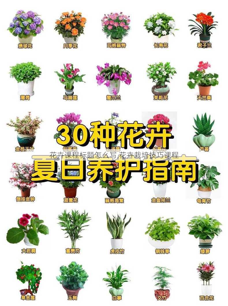 花卉课程标题怎么写,花卉栽培技巧课程