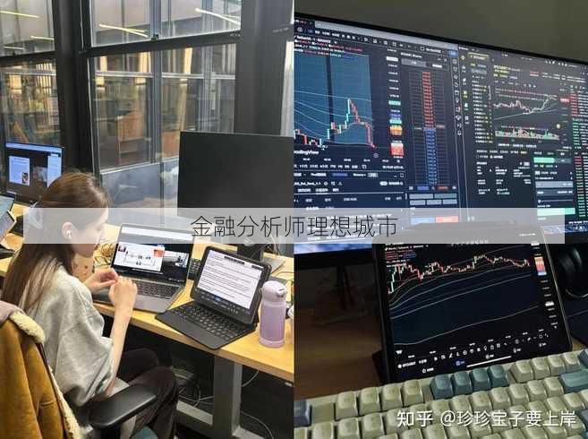 金融分析师理想城市