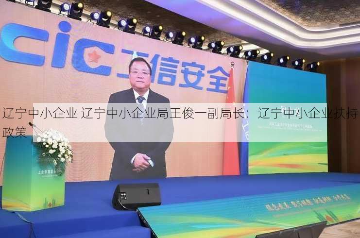 辽宁中小企业 辽宁中小企业局王俊一副局长：辽宁中小企业扶持政策