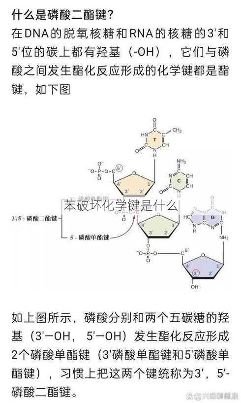 苯破坏化学键是什么