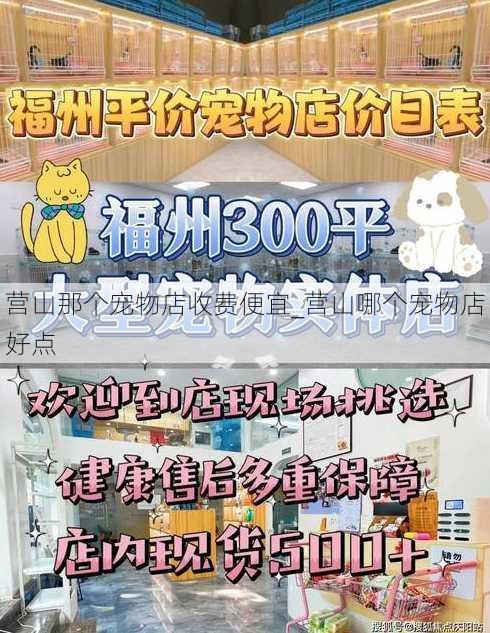 营山那个宠物店收费便宜_营山哪个宠物店好点