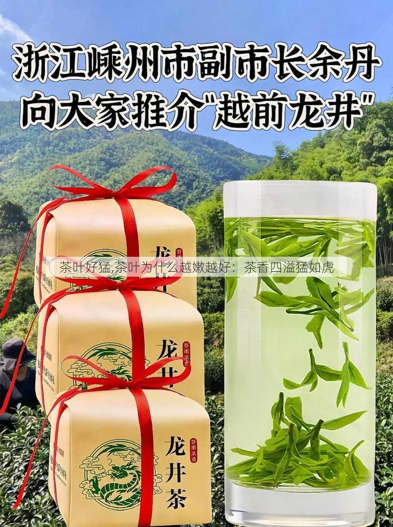 茶叶好猛,茶叶为什么越嫩越好：茶香四溢猛如虎