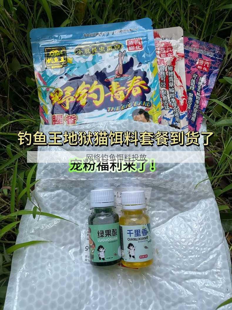 网络钓鱼饵料投放