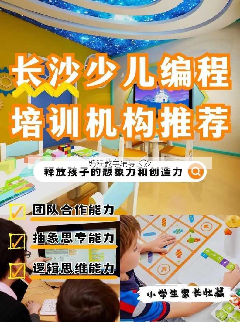 编程教学辅导长沙