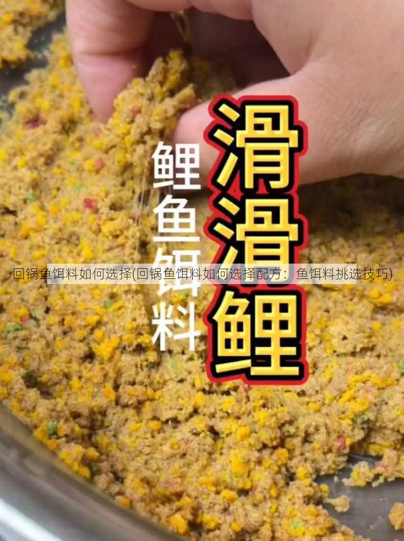 回锅鱼饵料如何选择(回锅鱼饵料如何选择配方：鱼饵料挑选技巧)