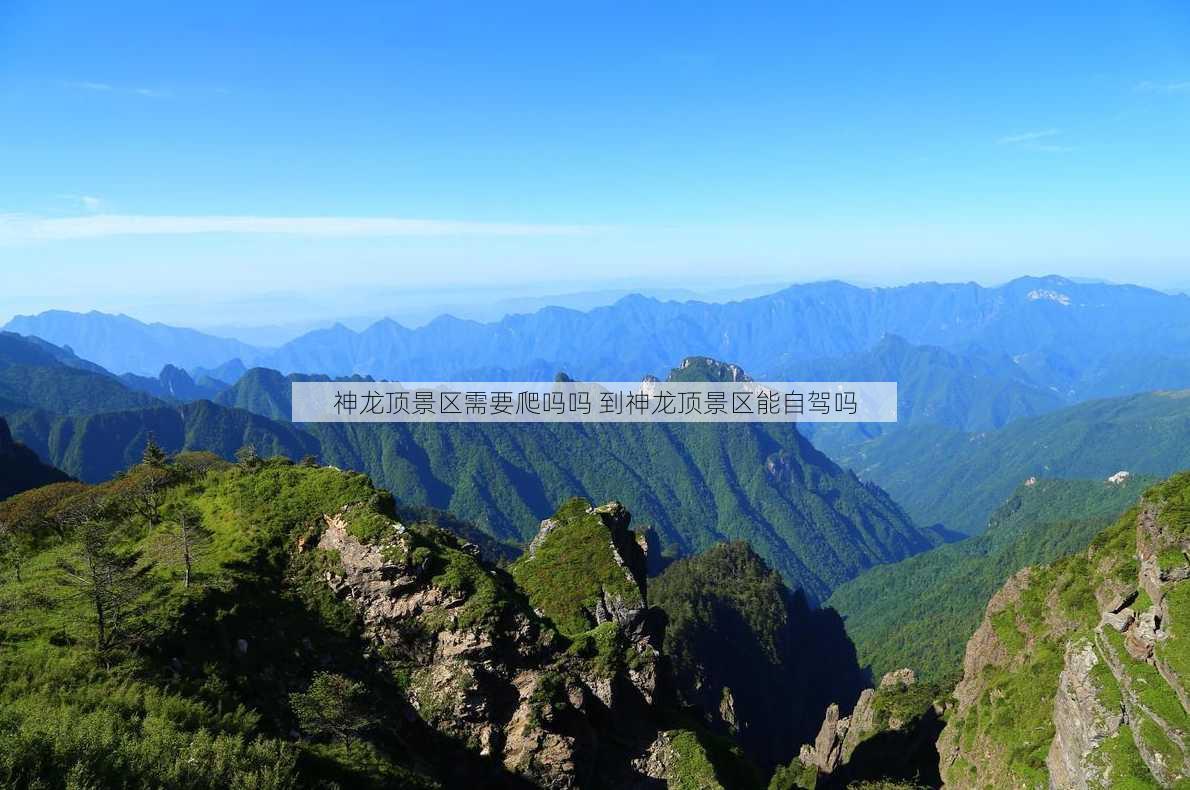 神龙顶景区需要爬吗吗 到神龙顶景区能自驾吗