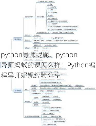 python导师妮妮、python导师蚂蚁的课怎么样：Python编程导师妮妮经验分享