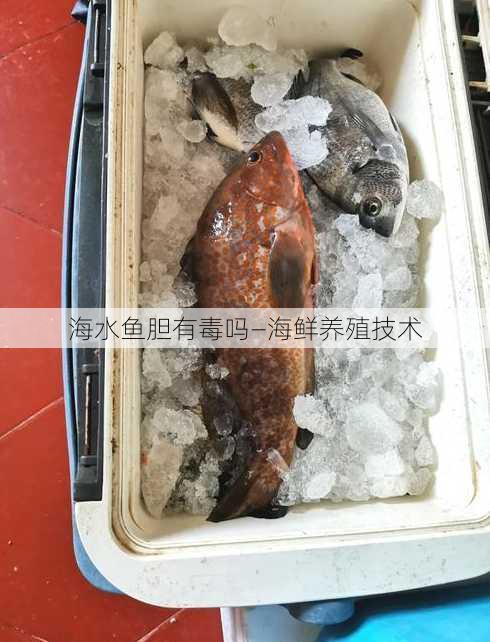 海水鱼胆有毒吗—海鲜养殖技术