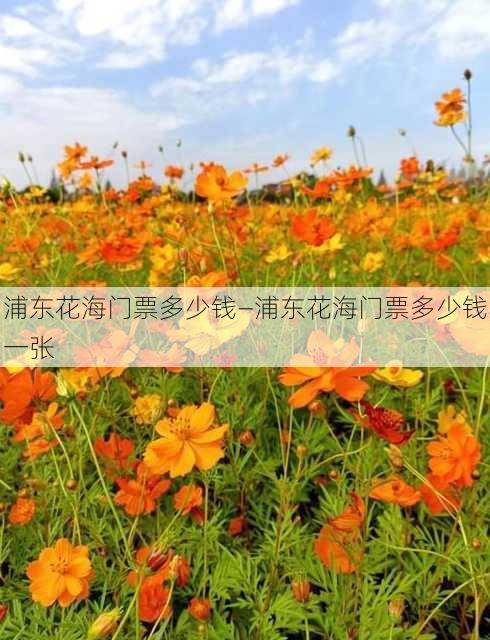 浦东花海门票多少钱—浦东花海门票多少钱一张