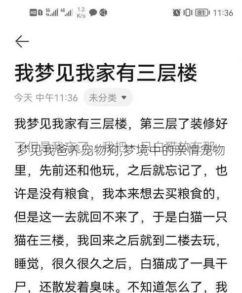 梦见我爸养宠物狗,梦境中的亲情宠物