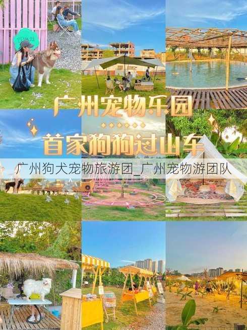 广州狗犬宠物旅游团_广州宠物游团队